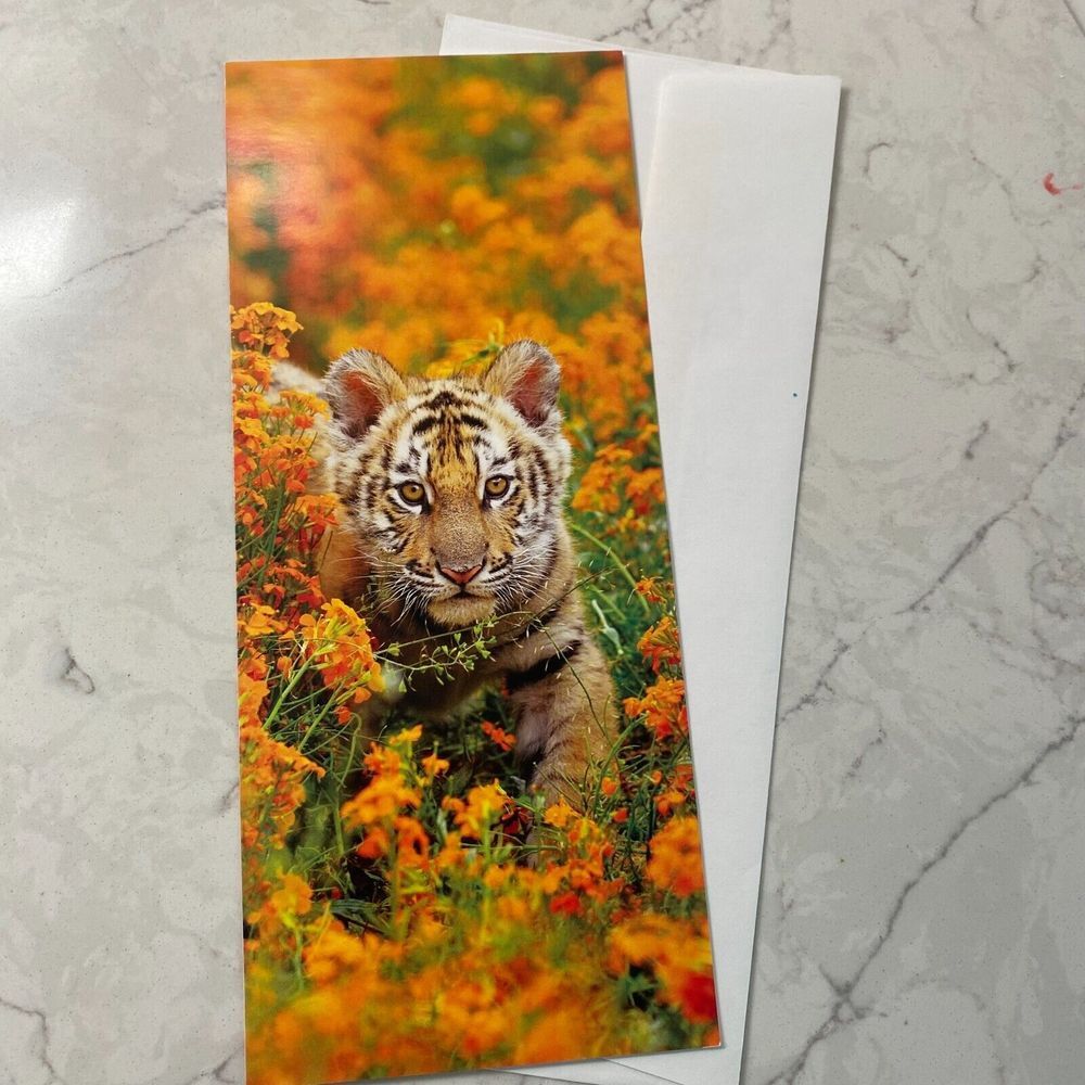 World Wildlife Bengal Tiger Cub‎ Wild Animal Blank Greetings Card with Envelope
